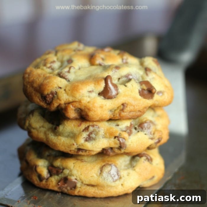 65 Festive Christmas Cookie Creations 29 Perfect Chocolate Chip Cookies, golden brown with melted chocolate chips