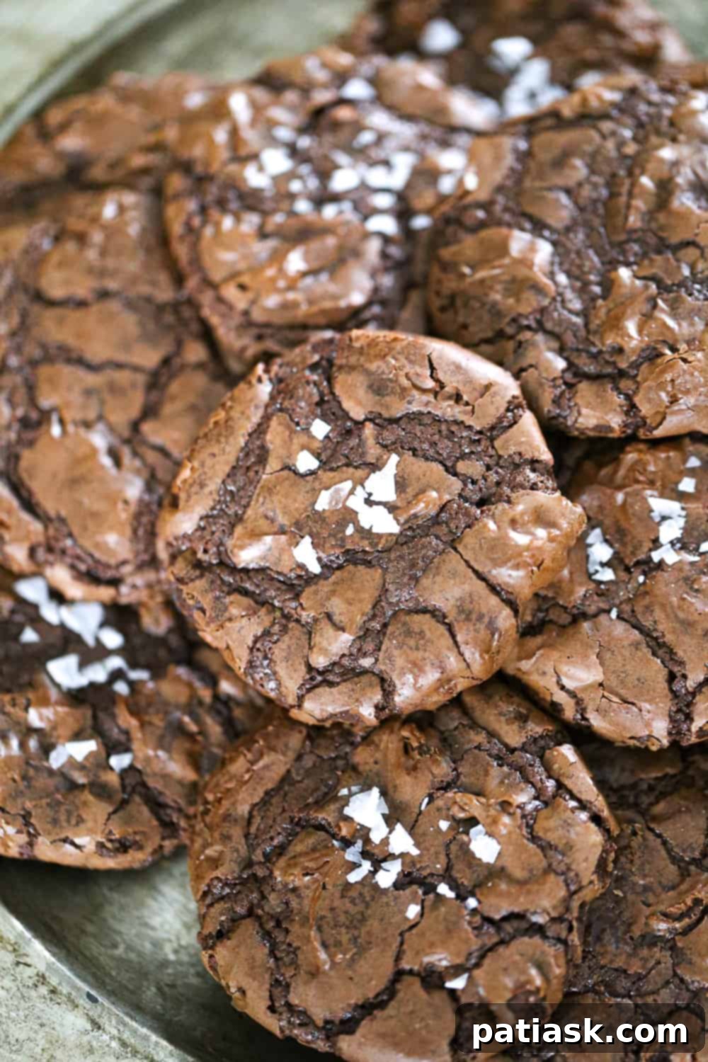 65 Festive Christmas Cookie Creations 39 Fudgy Brownie Cookies, dark and rich with a chewy texture