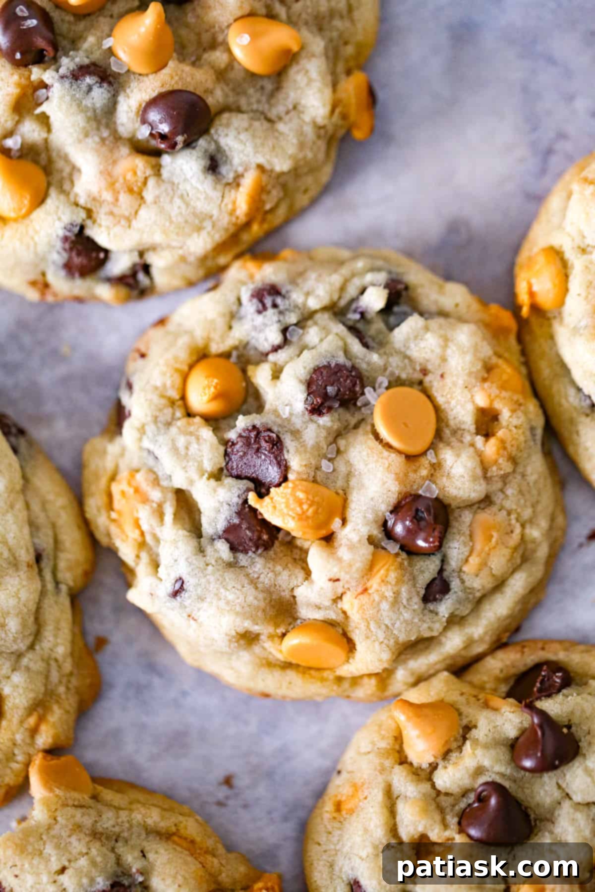 65 Festive Christmas Cookie Creations 41 Best Ever Butterscotch Chocolate Chip Cookies with a sprinkle of sea salt