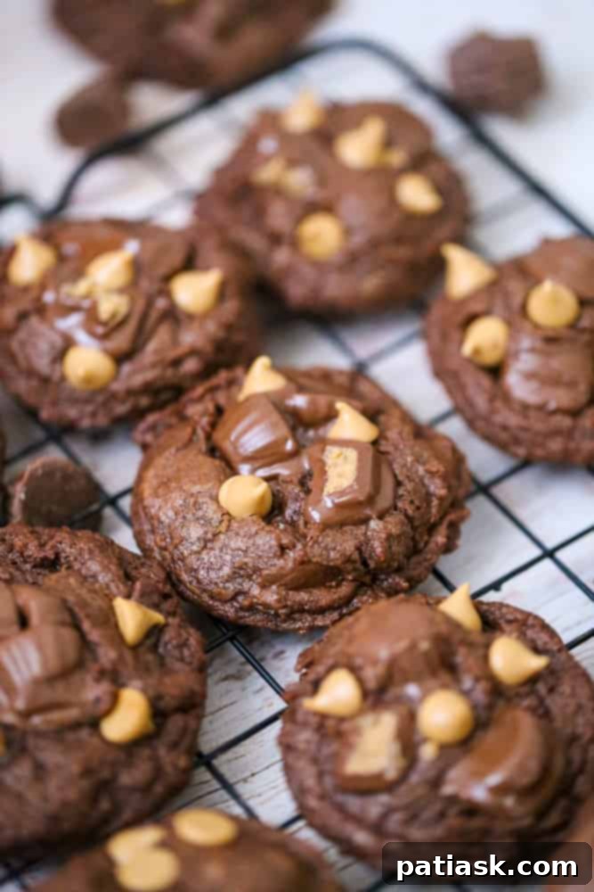 65 Festive Christmas Cookie Creations 62 Peanut Butter Cup Chocolate Cookies, rich and fudgy