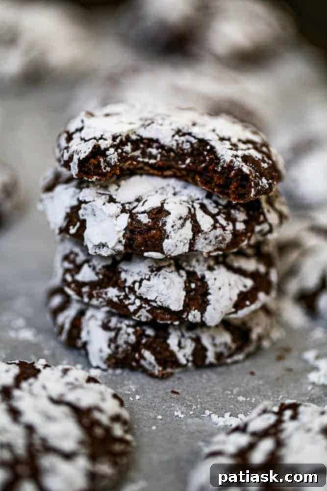 65 Festive Christmas Cookie Creations 9 Fudgy Chocolate Crinkle Cookies dusted with powdered sugar, showcasing their signature cracks