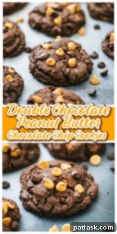 Decadent Double Chocolate Peanut Butter Cookies 11 Double Chocolate Peanut Butter Chocolate Chip Cookies