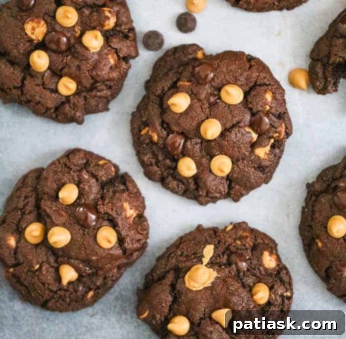 Decadent Double Chocolate Peanut Butter Cookies 3 favorite treats we love