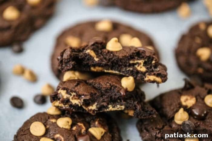 Decadent Double Chocolate Peanut Butter Cookies 4 favorite treats we love