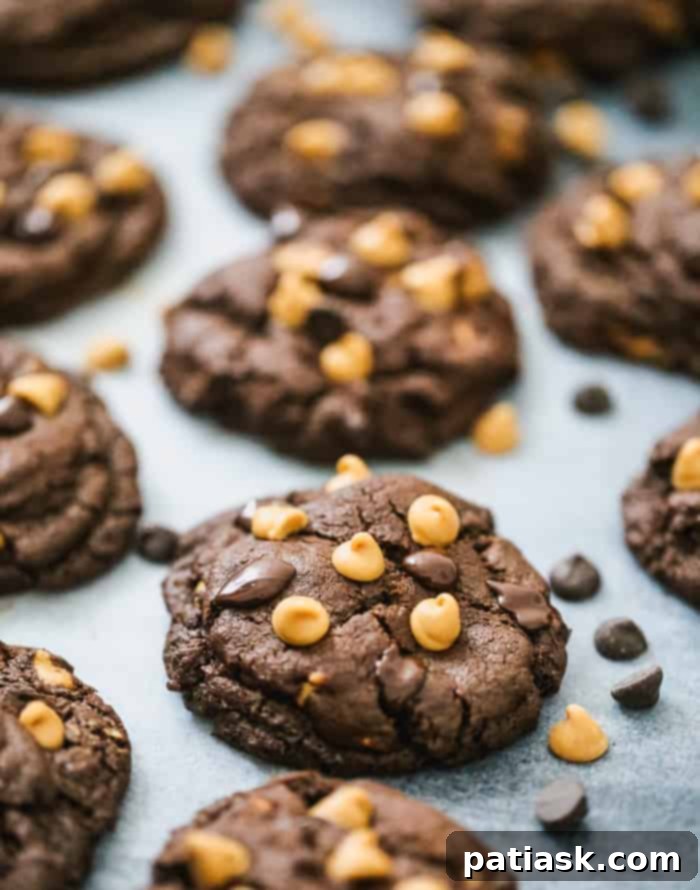 Decadent Double Chocolate Peanut Butter Cookies 5 Double Chocolate Peanut Butter Chocolate Chip Cookies recipe easy
