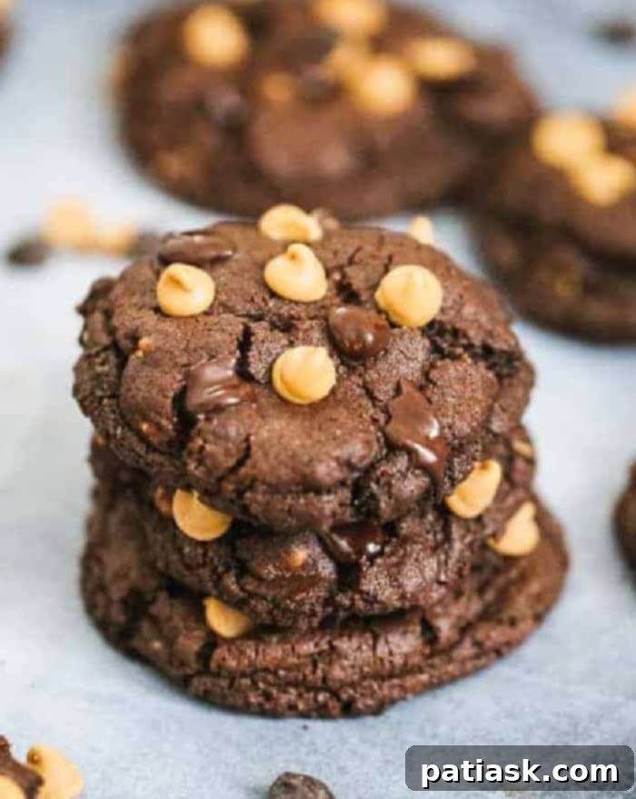 Decadent Double Chocolate Peanut Butter Cookies 6 Double Chocolate Peanut Butter Chocolate Chip Cookies recipe easy