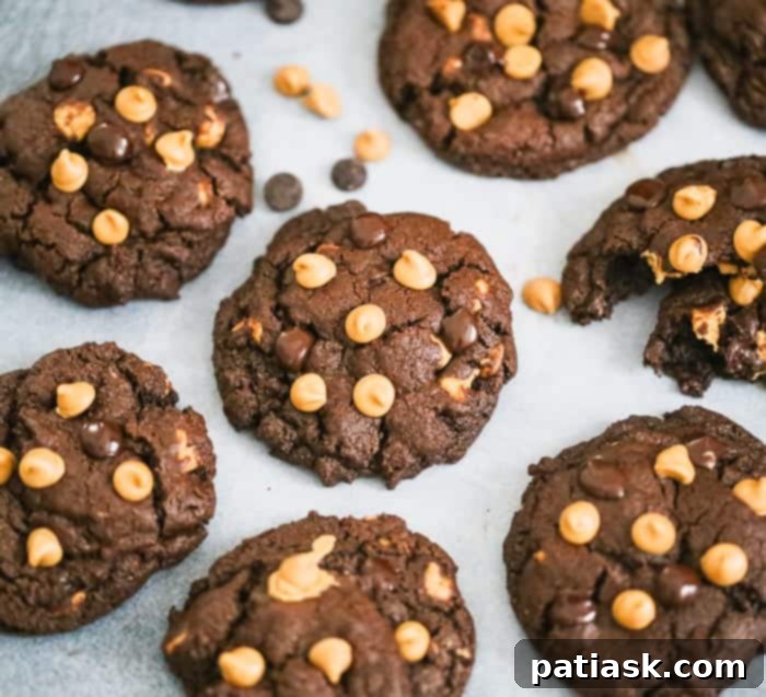 Decadent Double Chocolate Peanut Butter Cookies 7 favorite treats we love