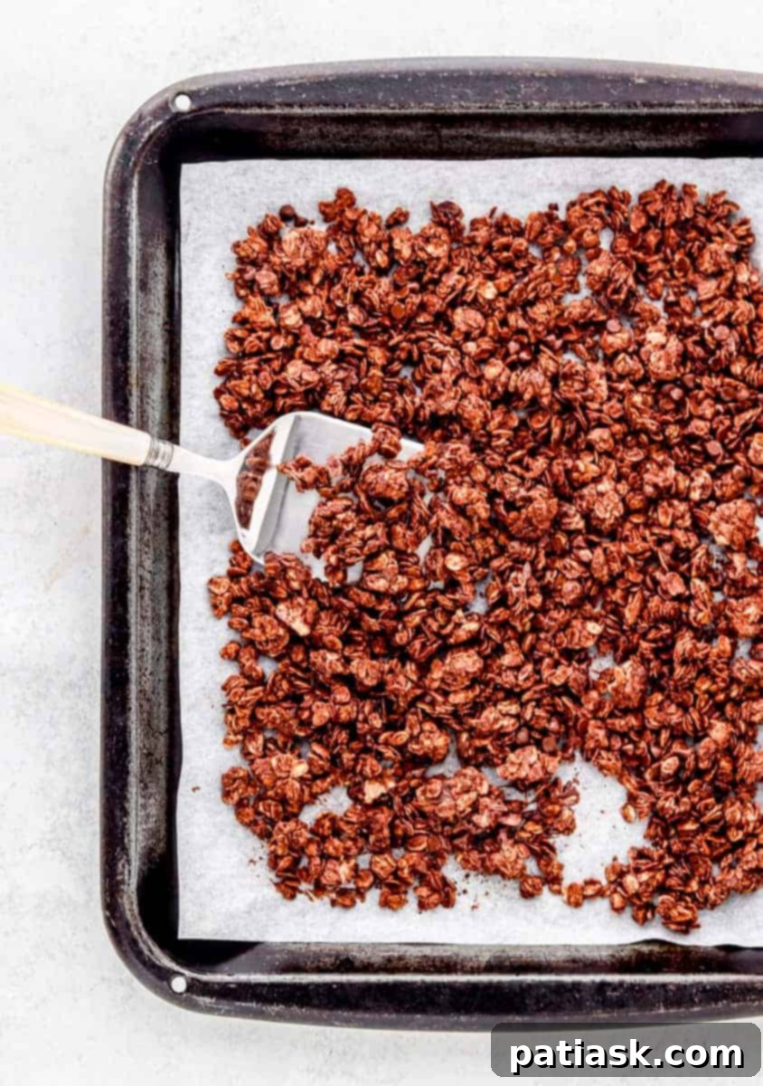 Healthy chocolate granola with dark chocolate chips.