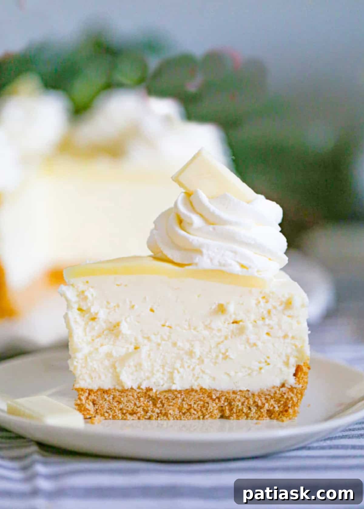 Decadent No-Bake White Chocolate Cheesecake 2 No Bake White Chocolate Cheesecake recipe