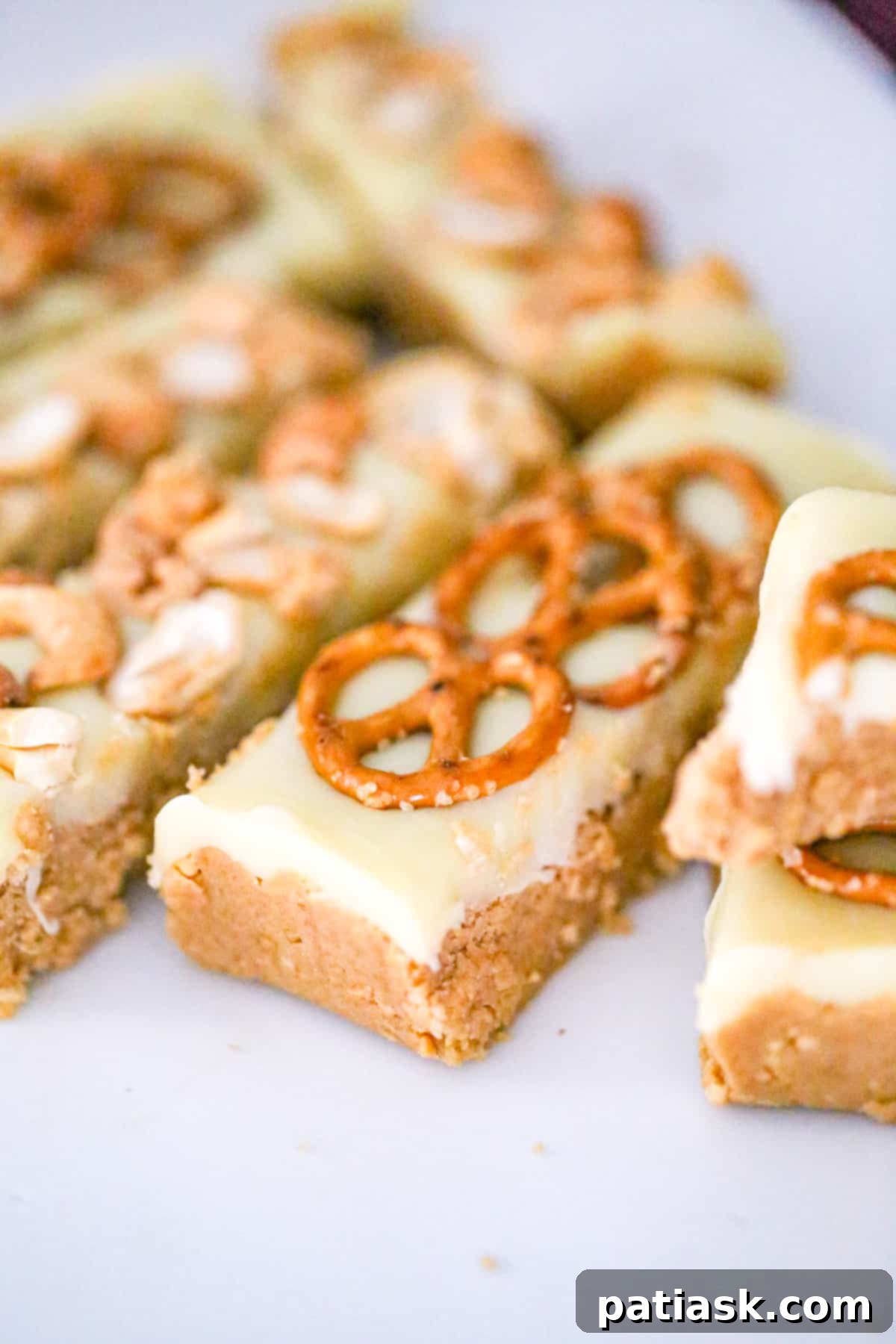 No-Bake Chocolate Peanut Butter Protein Bars 8 healthy vegan Chocolate Peanut Butter Protein Bars - No Bake recipe close up