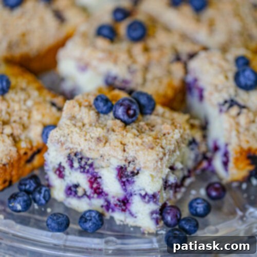 Blueberry Crumble Coffee Cake