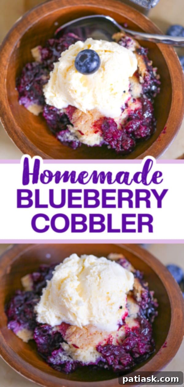 Irresistible Homemade Blueberry Cobbler 11 slice of homemade blueberry cobbler with ice cream