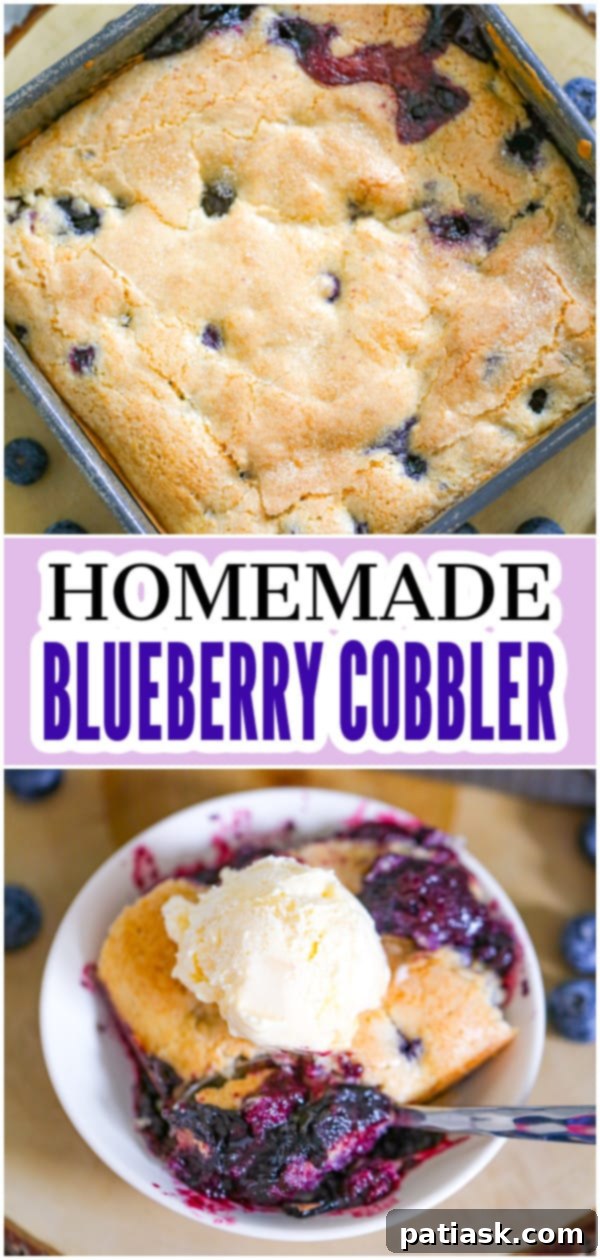 Irresistible Homemade Blueberry Cobbler 12 top view of homemade blueberry cobbler