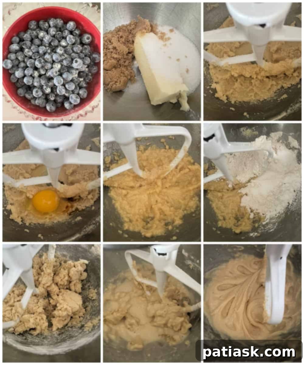 Irresistible Homemade Blueberry Cobbler 5 how to make blueberry cobbler tutorial