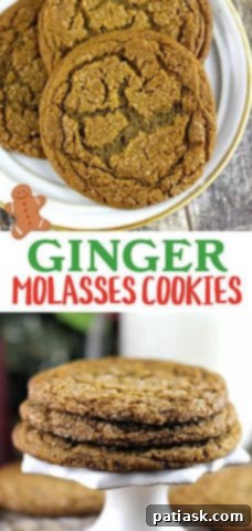 GINGER molasses cookies, close up
