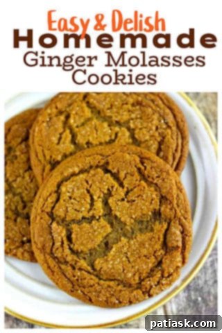 GINGER molasses cookies, with festive background