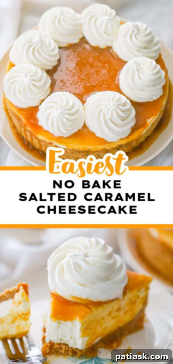 Effortless No-Bake Salted Caramel Cheesecake 11 Header image for an easy no bake caramel cheesecake recipe
