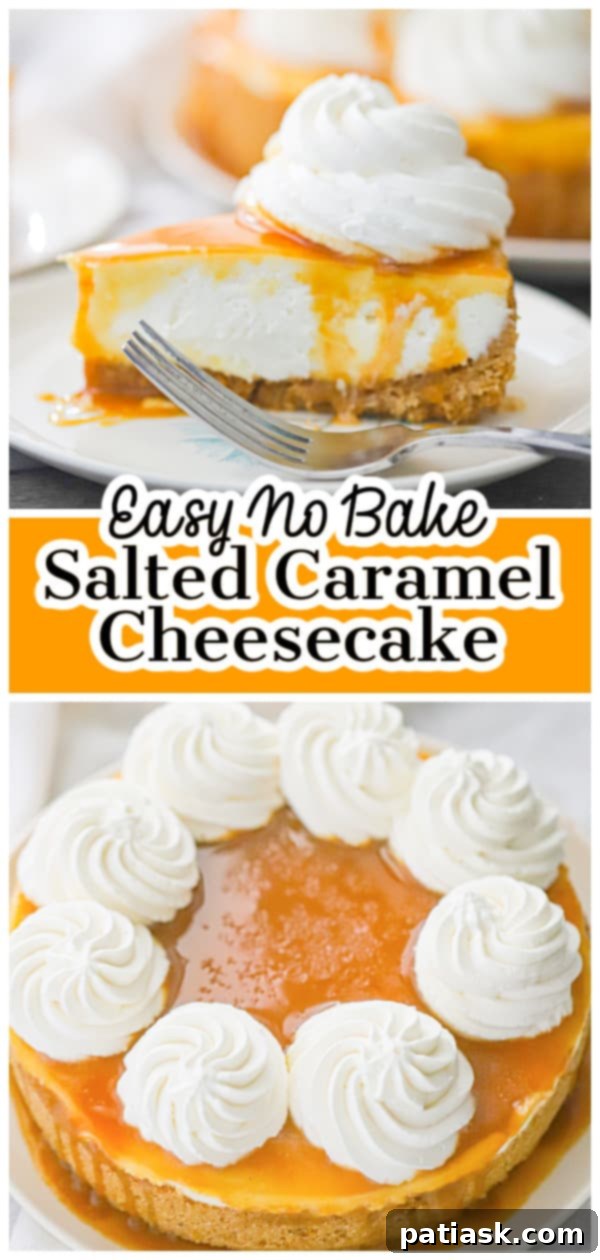 Effortless No-Bake Salted Caramel Cheesecake 13 Side view of a creamy no bake salted caramel cheesecake