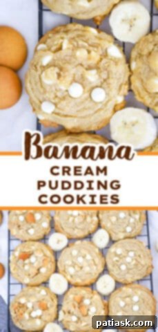 Coconut Chocolate Chip Cookies, related recipe example