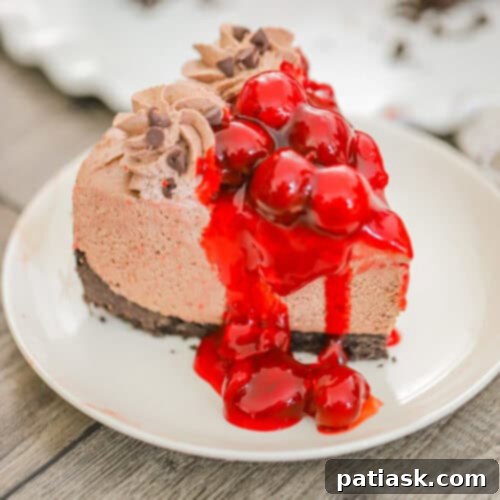 No Bake Chocolate Cherry Cheesecake 12 No Bake Chocolate Cherry Cheesecake