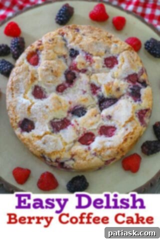 Simple Berry Streusel Delight 13 Easy Berry Coffee Cake