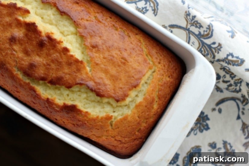 Vanilla Greek Yogurt and Olive Oil Pound Cake 2 Vanilla Greek Yogurt & Olive Oil Pound Cake
