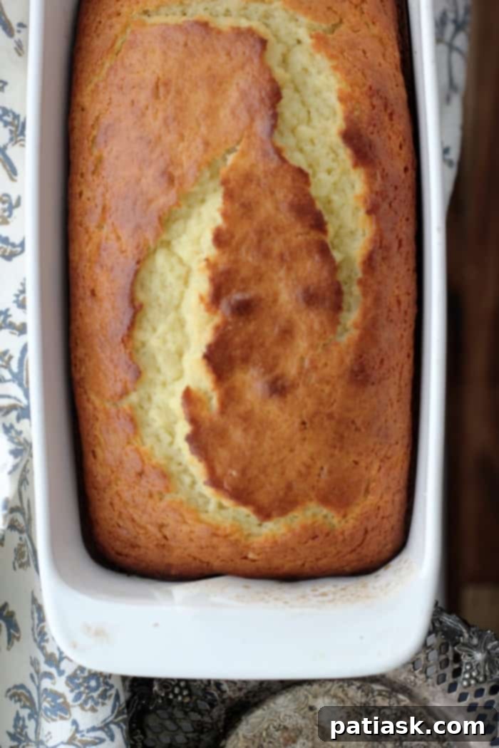Vanilla Greek Yogurt and Olive Oil Pound Cake 3 Vanilla Greek Yogurt & Olive Oil Pound Cake