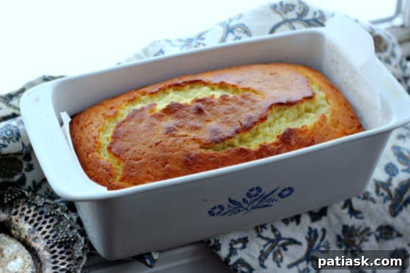 Vanilla Greek Yogurt and Olive Oil Pound Cake 5 Vanilla Greek Yogurt & Olive Oil Pound Cake