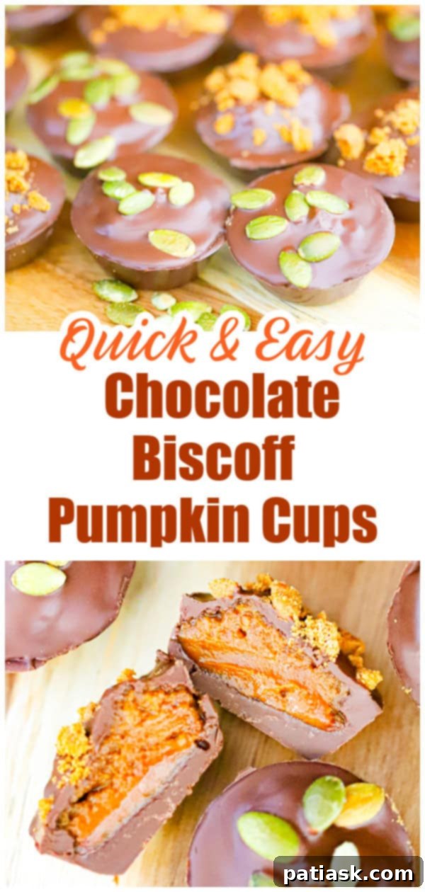 CHOCOLATE PUMPKIN BISCOFF CUPS - NO BAKE RECIPE