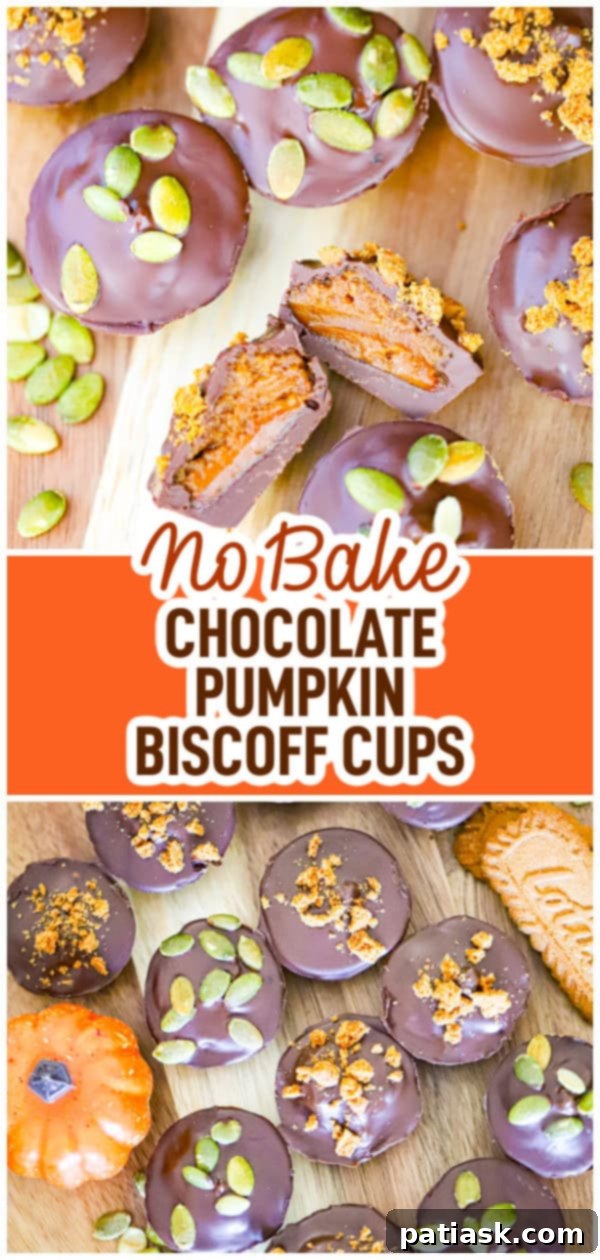 Effortless Chocolate Biscoff Pumpkin Dreams 10 fall dessert