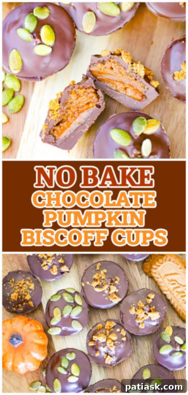 Effortless Chocolate Biscoff Pumpkin Dreams 11 fall dessert