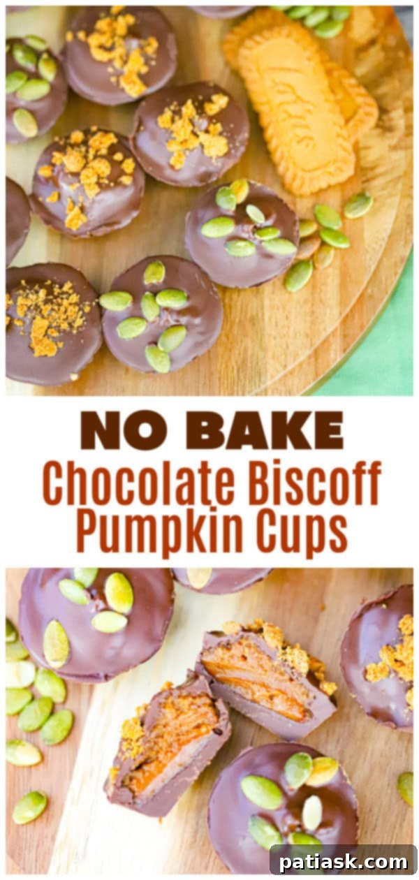 Effortless Chocolate Biscoff Pumpkin Dreams 7 CHOCOLATE PUMPKIN BISCOFF CUPS - NO BAKE RECIPE