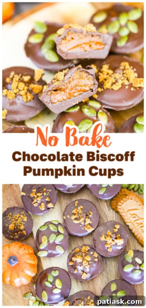 Effortless Chocolate Biscoff Pumpkin Dreams 8 fall dessert