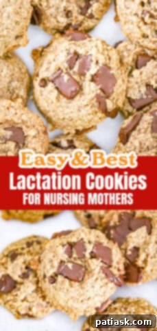 Mama Bear's Milk Magic Cookies 10 'Mama Bear' Lactation Cookies