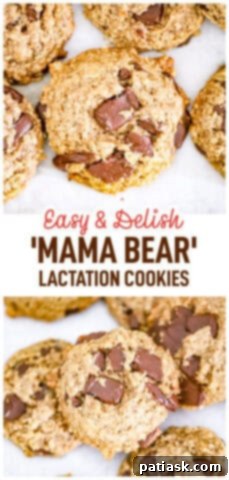 Mama Bear's Milk Magic Cookies 9 'Mama Bear' Lactation Cookies