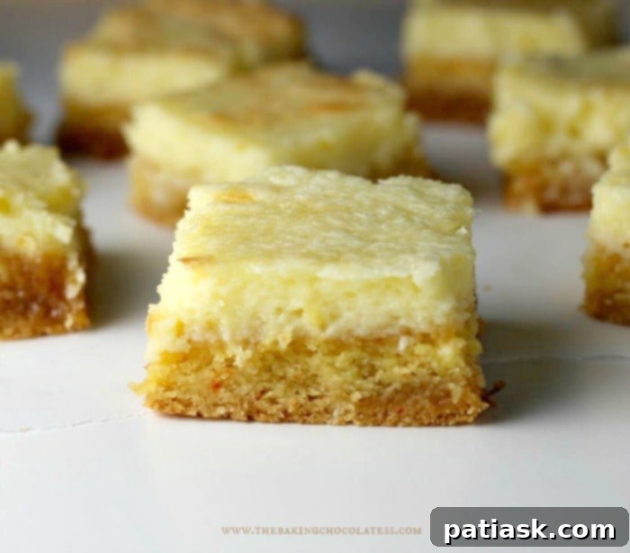 Sweet & Simple: 40 Easy Caramel Dessert Ideas 4 Ooey Gooey Salted Caramel Butter Cake Bars with shortbread crust