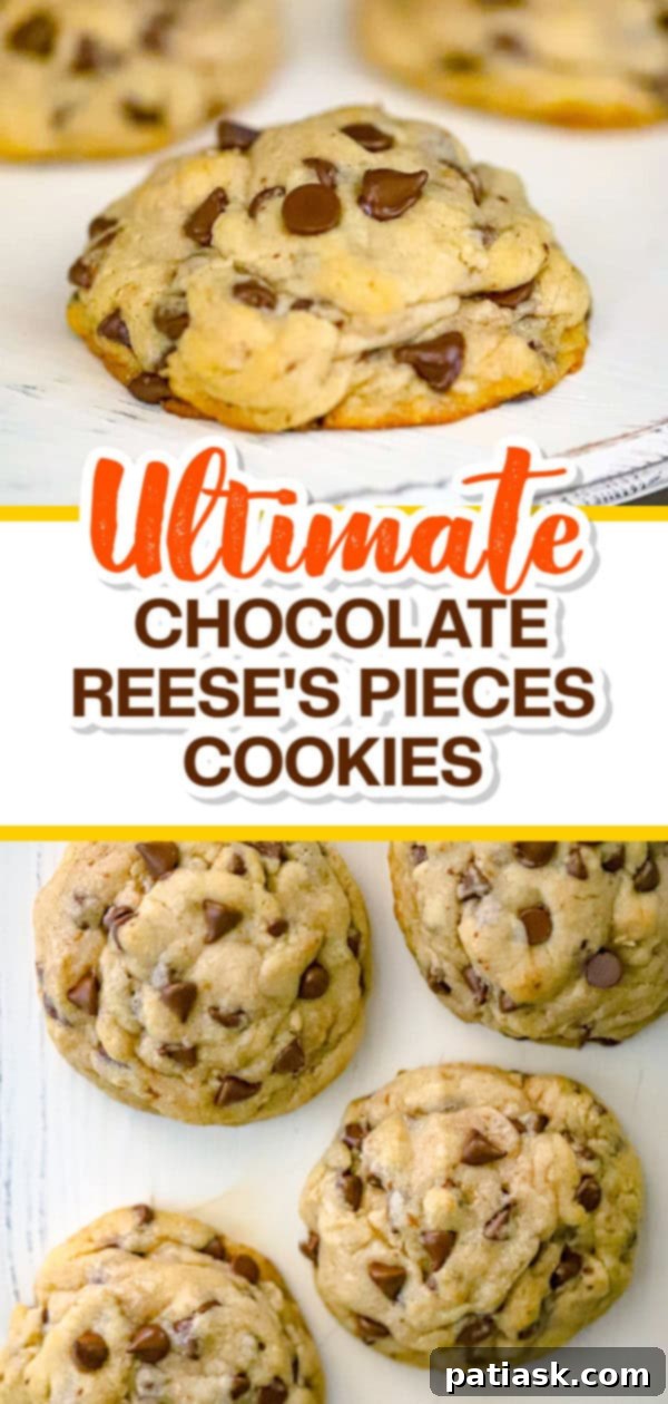 Legendary Levain Chocolate Chip Cookies 11 Ultimate Chocolate Chip Levain Cookies on a plate