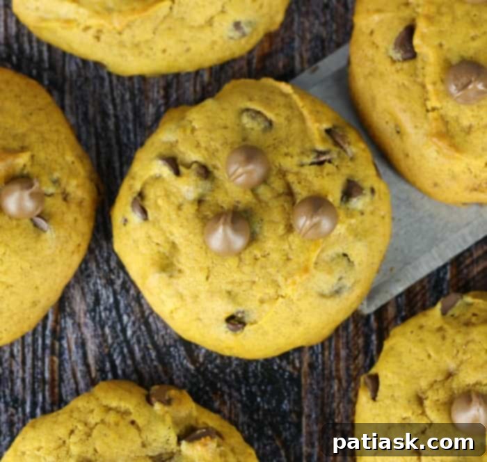 50 Effortless Pumpkin Delights 11 Super Soft Jumbo Pumpkin Chocolate Chip Cookies