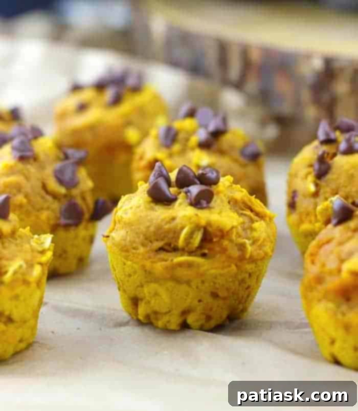 50 Effortless Pumpkin Delights 24 Healthy Mini Pumpkin Oat Chocolate Chip Muffins dessert ideas