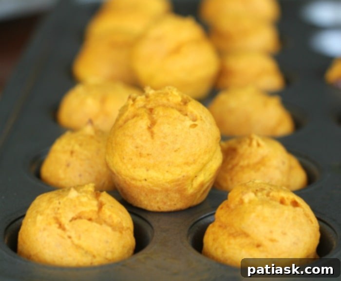 50 Effortless Pumpkin Delights 44 Easy 2 Ingredient Mini Pumpkin Donut Muffins