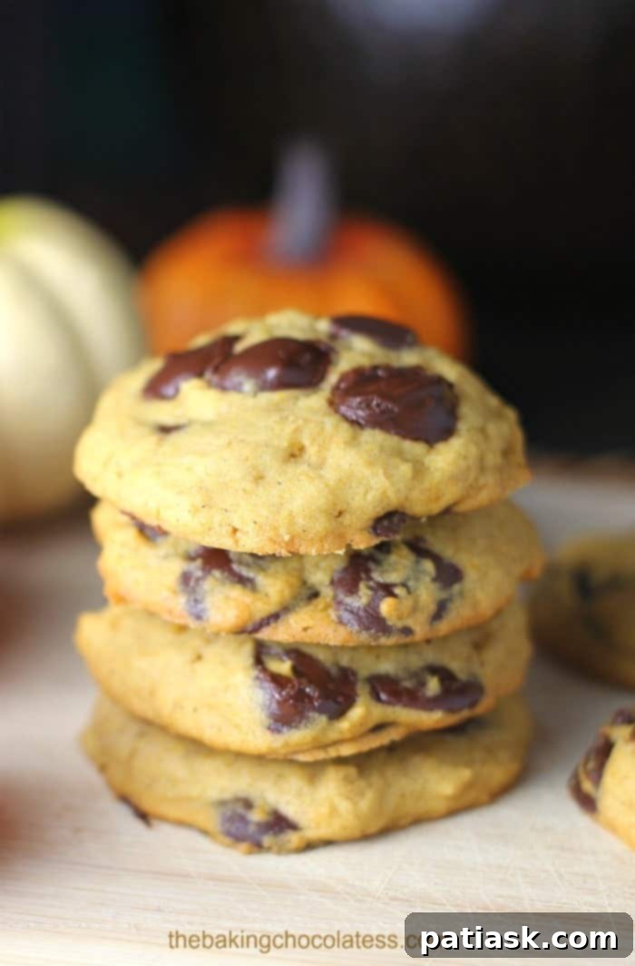 50 Effortless Pumpkin Delights 46 Awesome Chocolate Chip Pumpkin Cookies