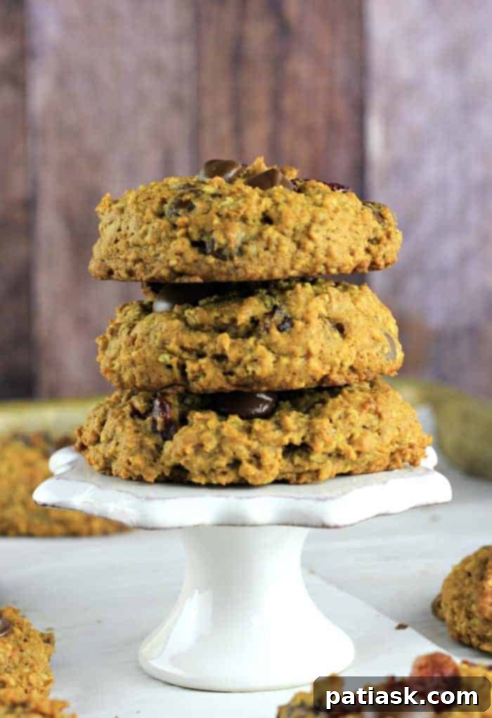 50 Effortless Pumpkin Delights 50 Hearty Pumpkin Chai Spiced Oatmeal Cookies (Chocolate Chips & Cranberries included)