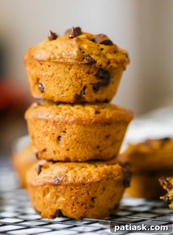 50 Effortless Pumpkin Delights 51 Yummy Pumpkin Muffins - Includes Cream Cheese Stuffed & Chocolate Chip