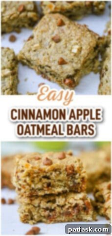 Easy Cinnamon Apple Oatmeal Bars - single serving
