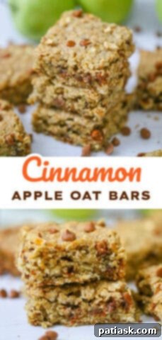Easy Cinnamon Apple Oatmeal Bars - top view