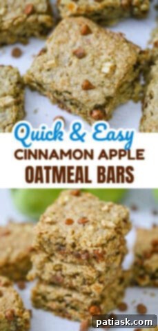 Easy Cinnamon Apple Oatmeal Bars - close up