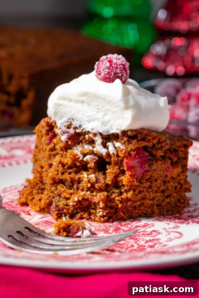 A slice of sourdough gingerbread cake with cranberries, revealing its moist texture and studded berries, with a bite taken out.
