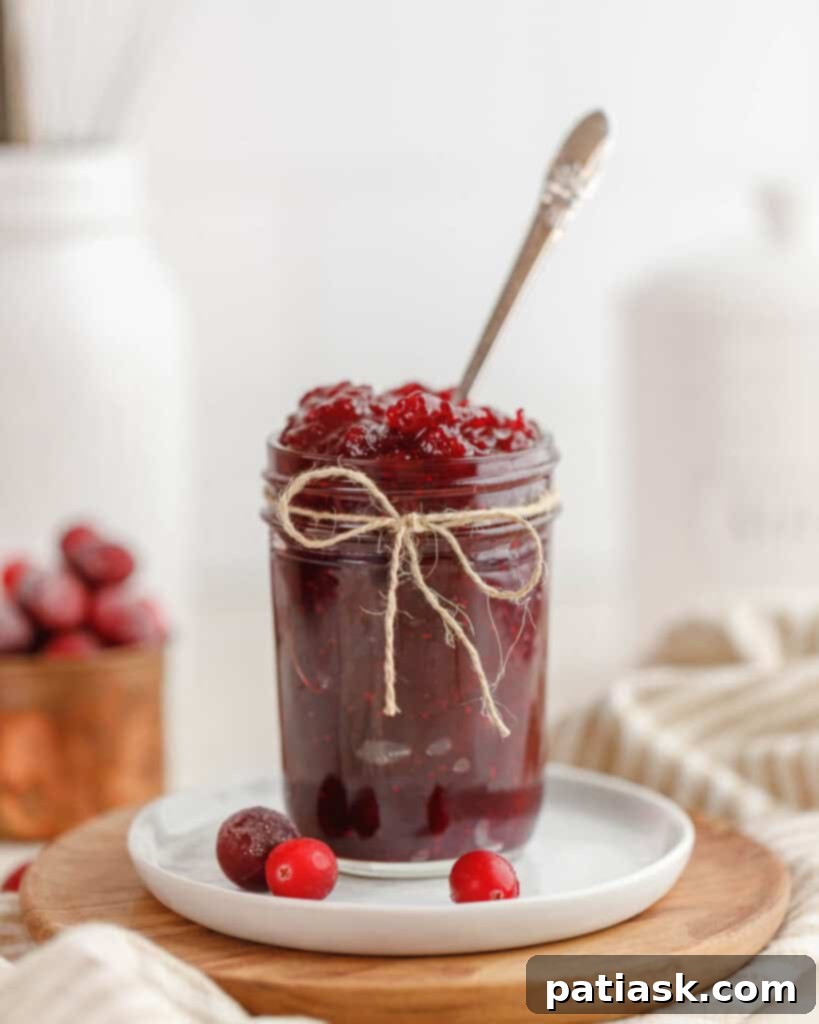 A jar of simple cranberry jam with a spoon, highlighting its rich red color and smooth texture.