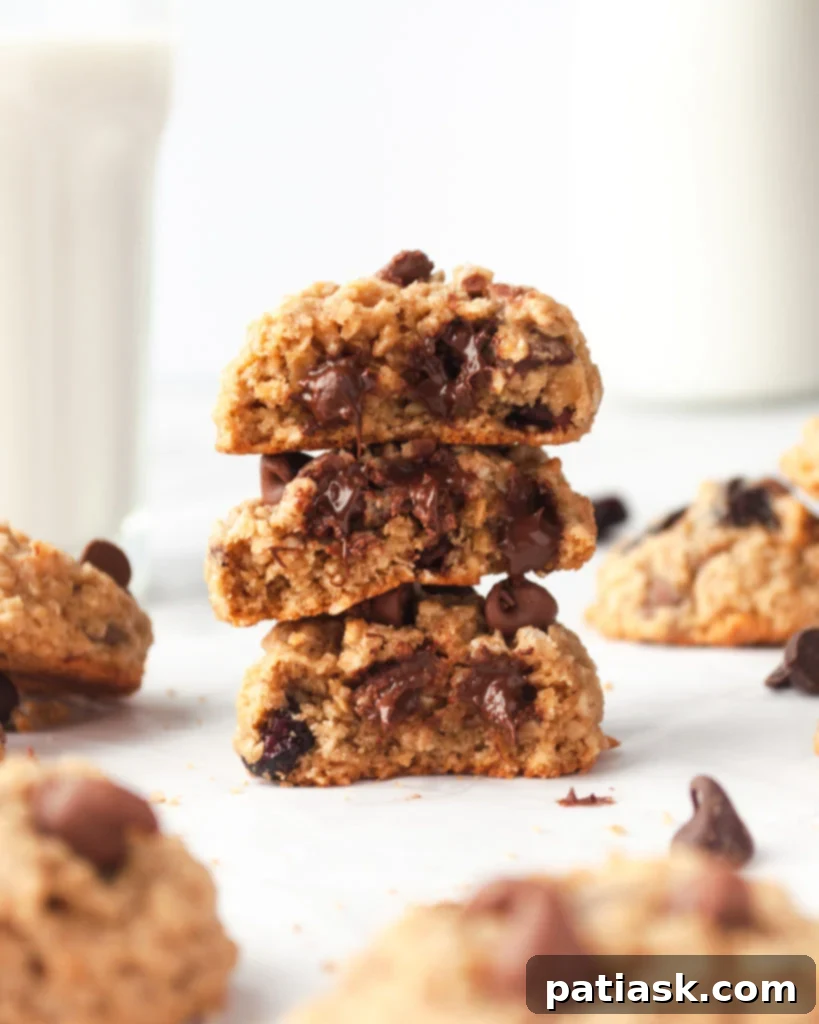 Several chocolate cranberry oatmeal cookies, showing their chewy texture, chocolate chips, and dried cranberries.