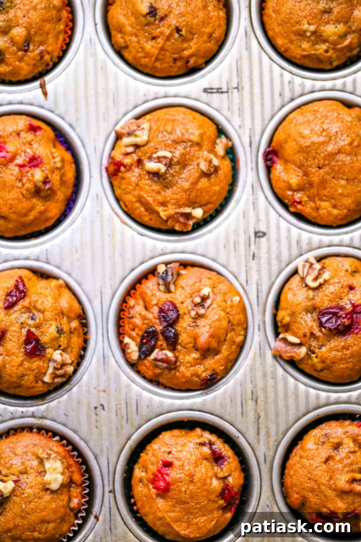 A close-up of a perfectly baked pumpkin cranberry muffin, showing its moist texture and visible cranberries.